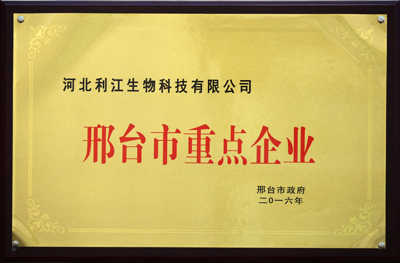 邢台市重点企业